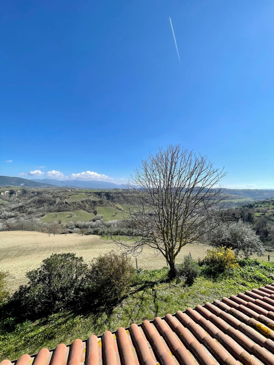 View from property