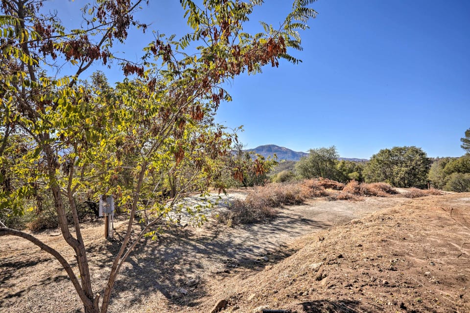 Surrounding Area
