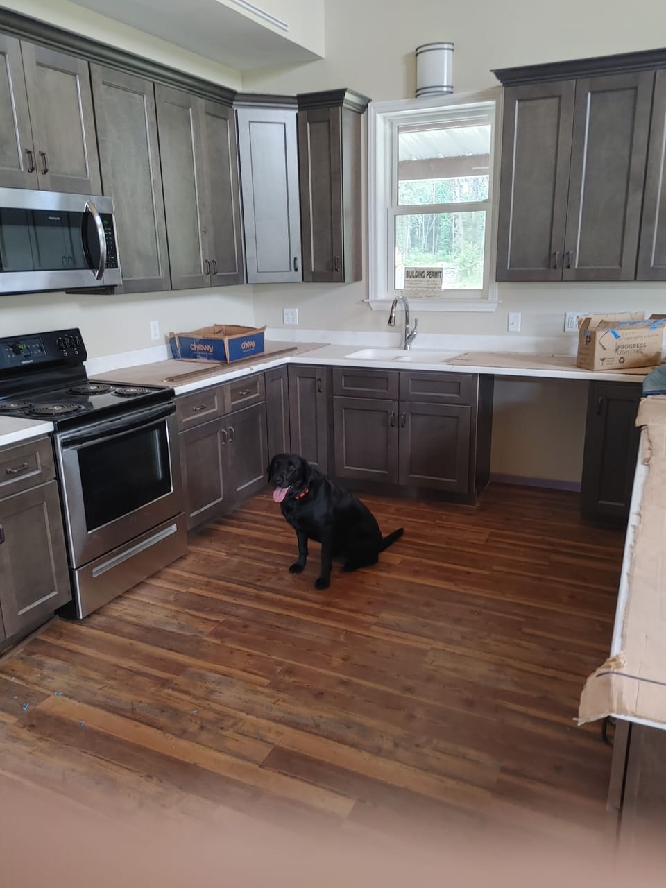 Kitchen Dog not included but may visit