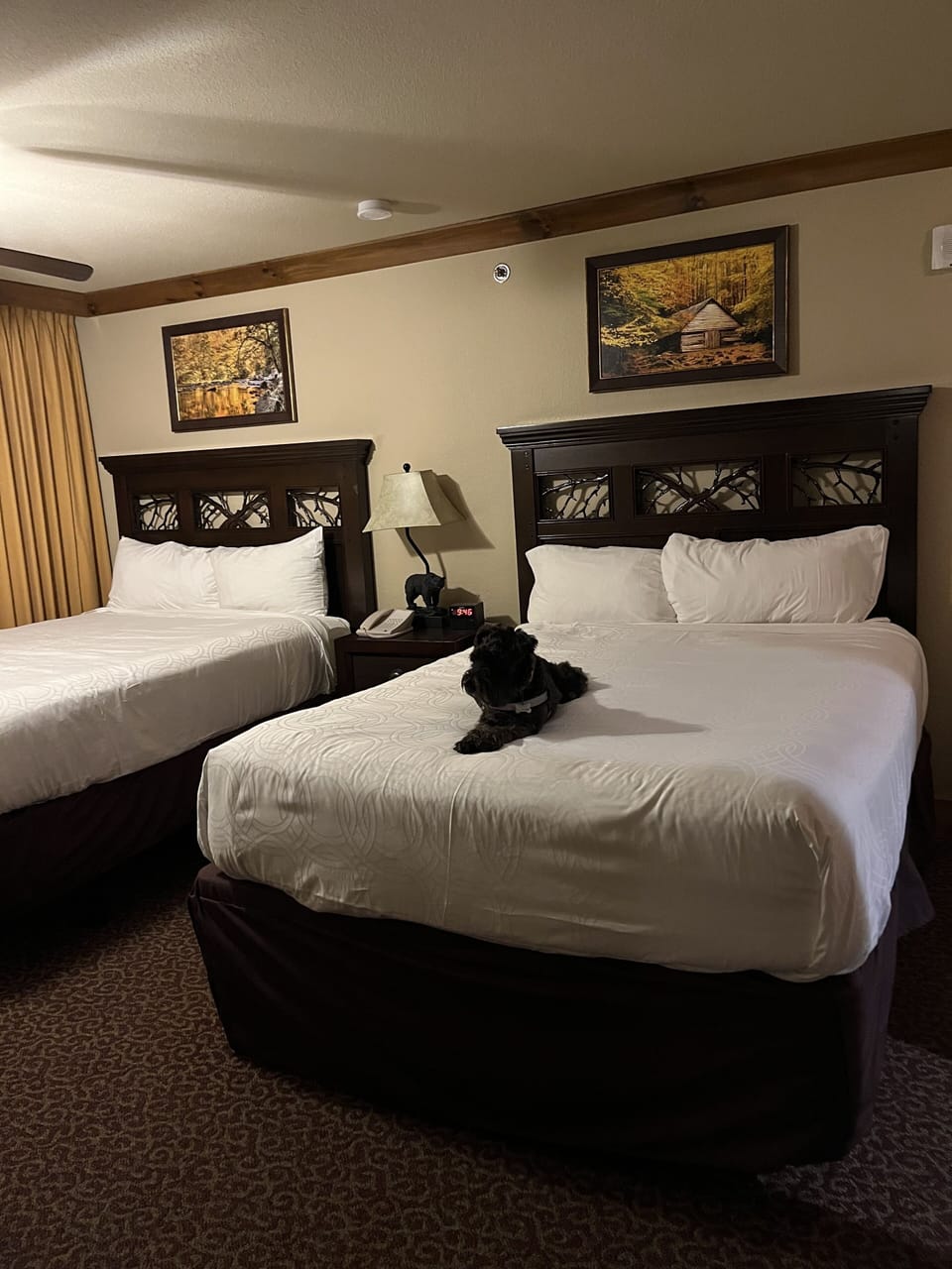 Bedroom, 2 Queen beds