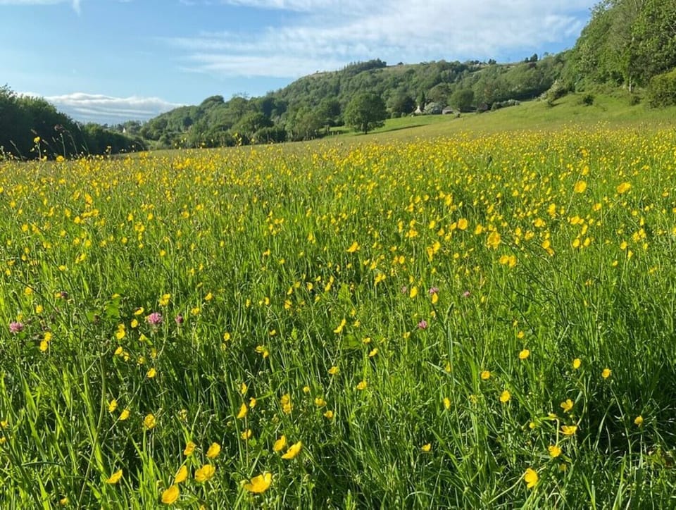 Beautiful fields and walks surround the village