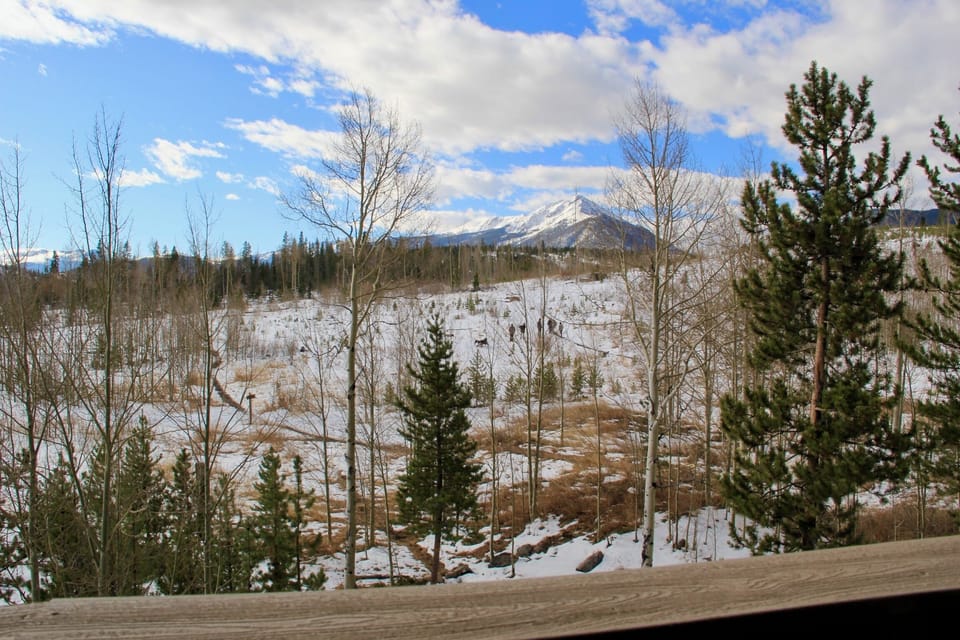 View of hiking trails and great sledding hill for kids!