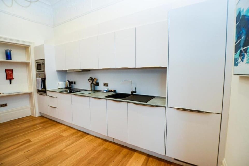 Fridge, stovetop, dishwasher
