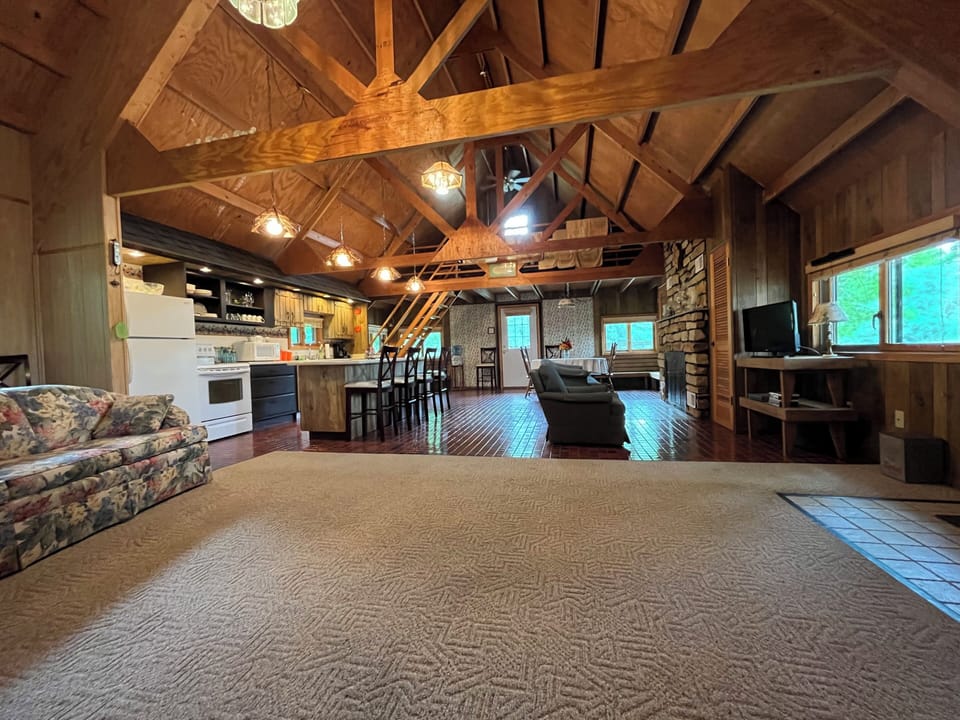 Smart TV, fireplace, DVD player, video library
