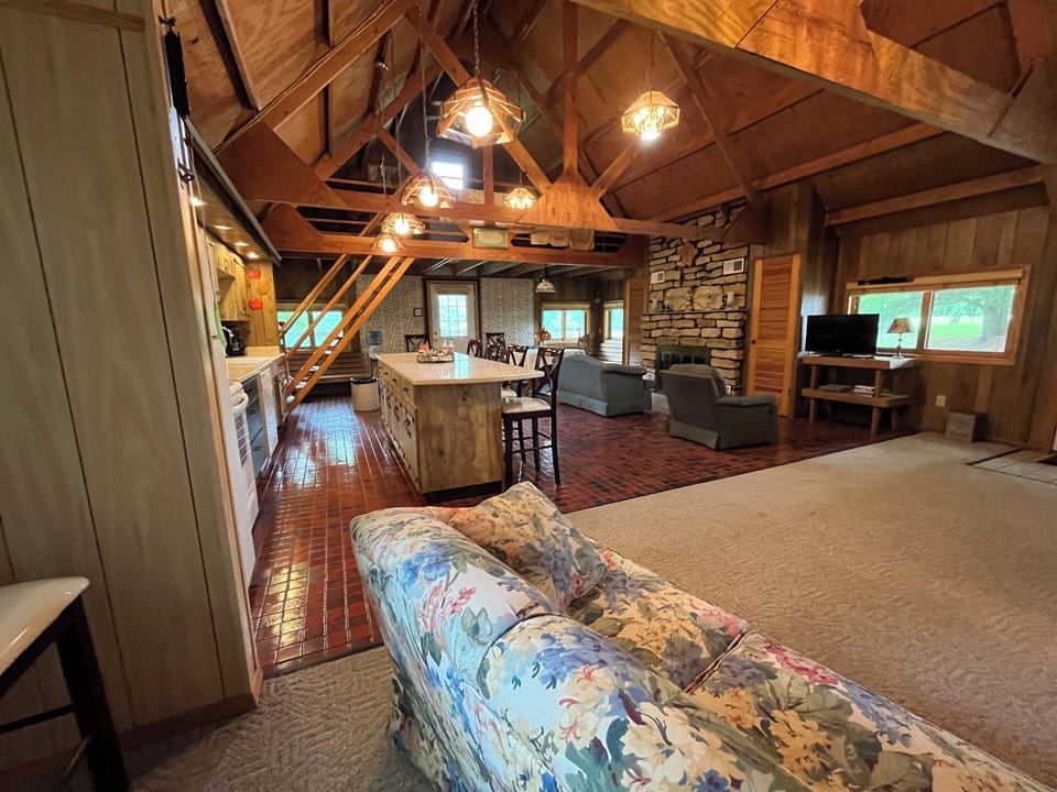 Smart TV, fireplace, DVD player, video library