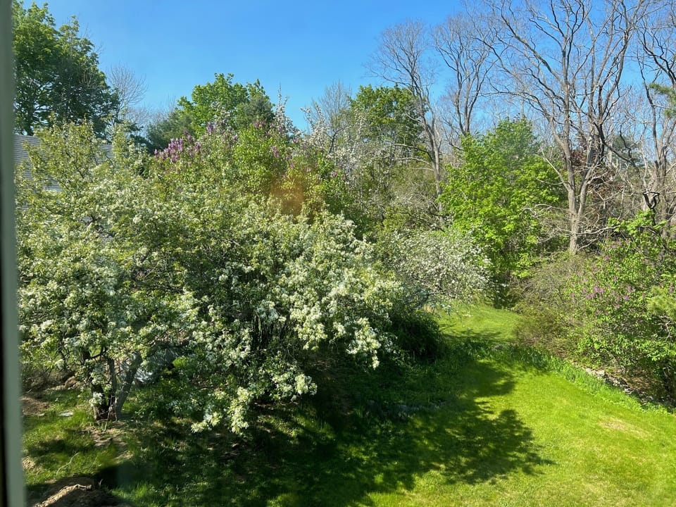 View from property