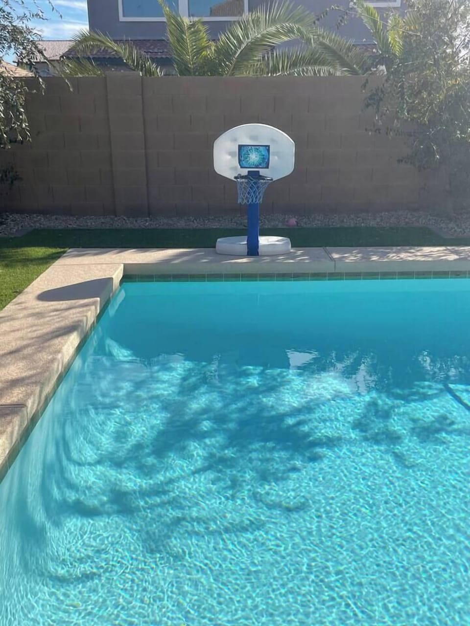 Pool basket ball hoop. 