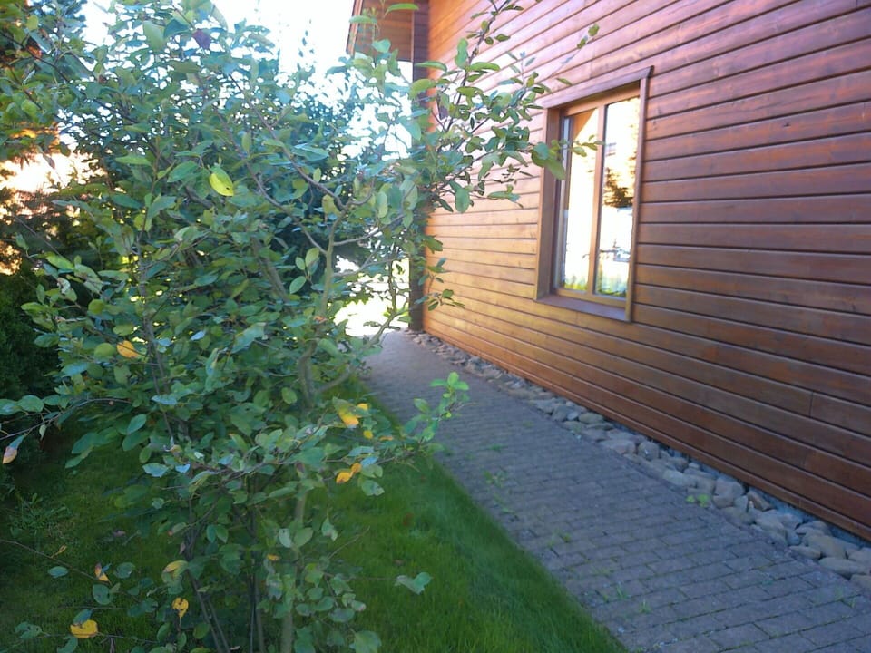 Plant, Building, Window, Grass, Road Surface, Wood, Tree, Tints And Shades, Groundcover, Facade