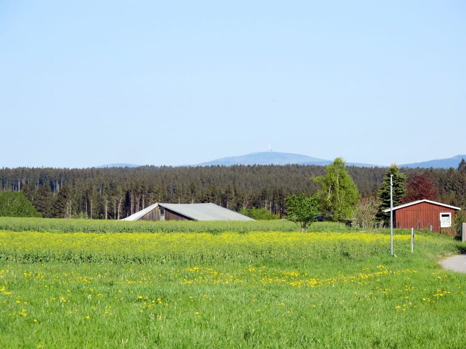 Grassland, Natural Environment, Pasture, Land Lot, Meadow, Field, Farm, Prairie, Natural Landscape, Grass