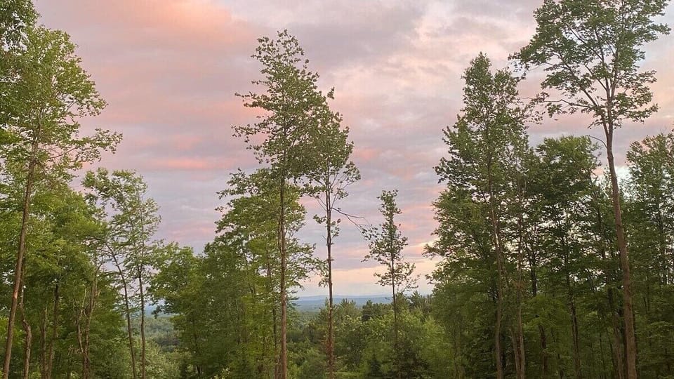 Walking trails are available throughout the 60 acres. The trails are marked with trail markers to help guide guests. The view at the top provides views of the Vermont Mountains. 