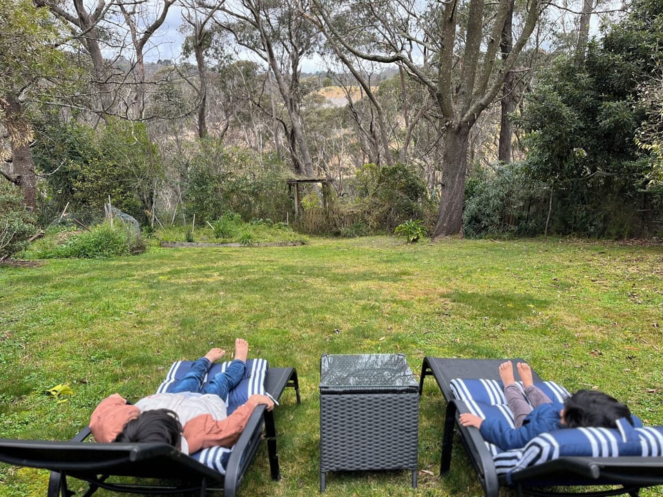 Look out into the pristine bushes from the backyard lawn