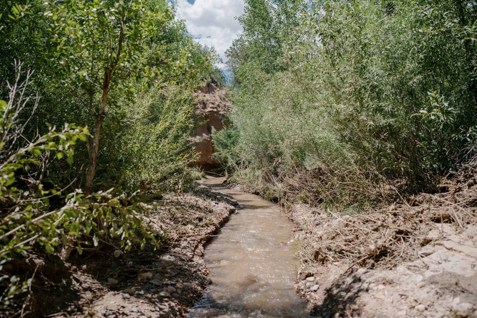Trail