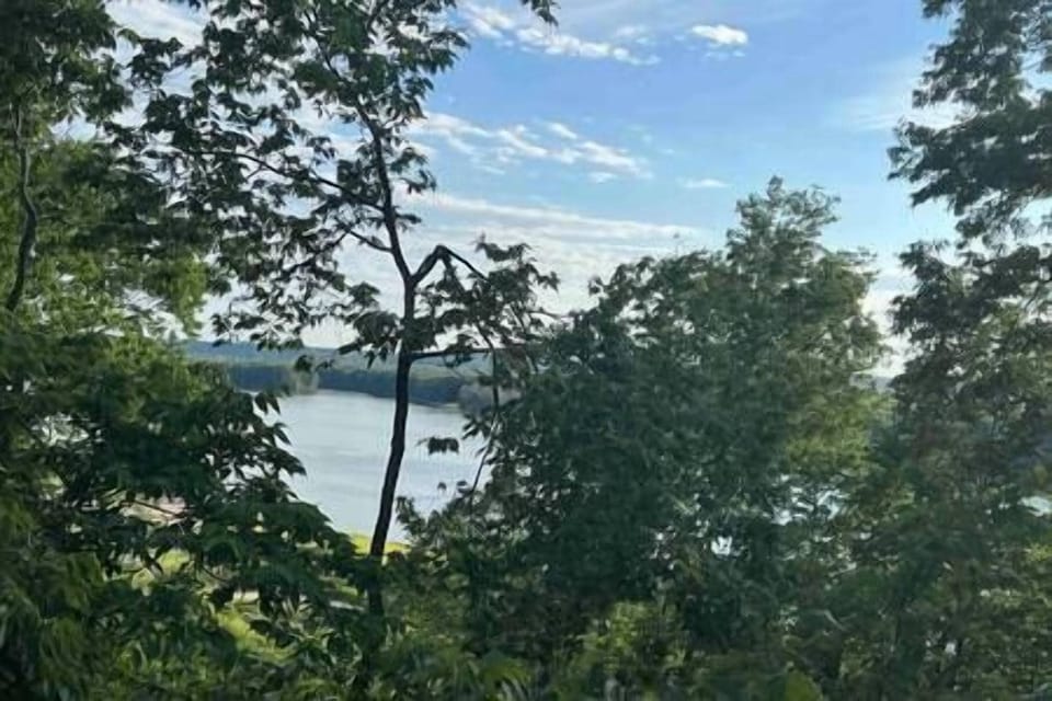 15ba242f-400f-4ac8-8b25-af17b6f81110