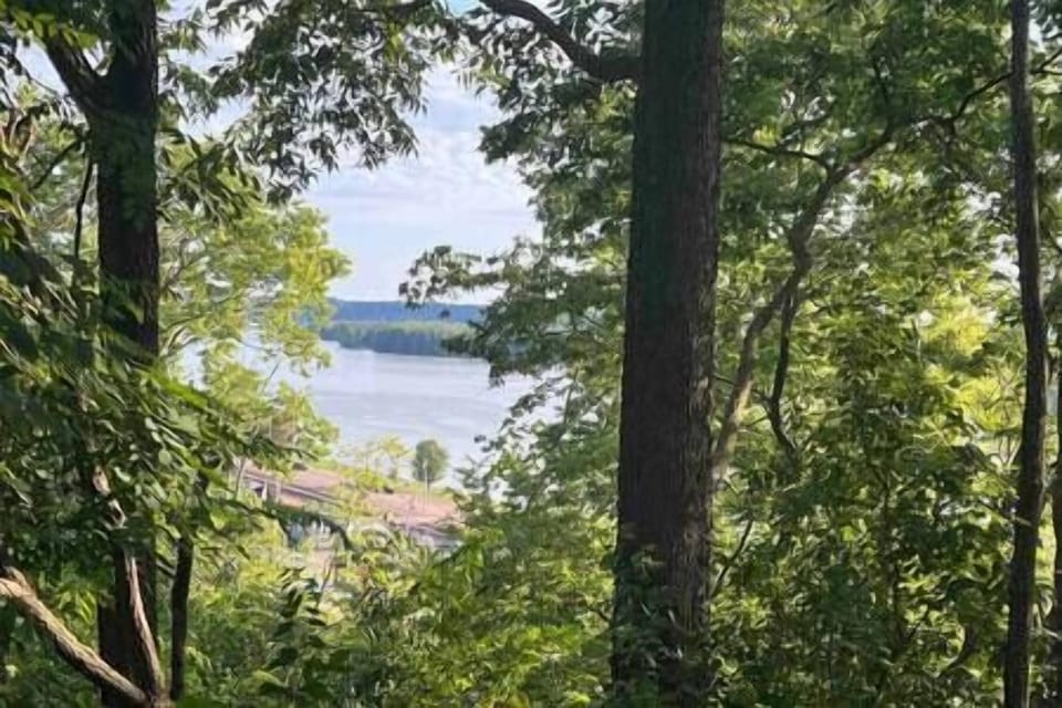 31e14db8-e1a0-4f52-8737-85eeeab02f88