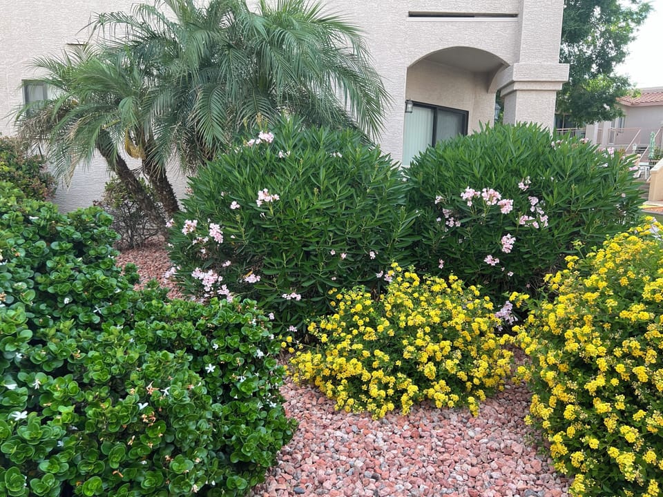 Lush Landscaping