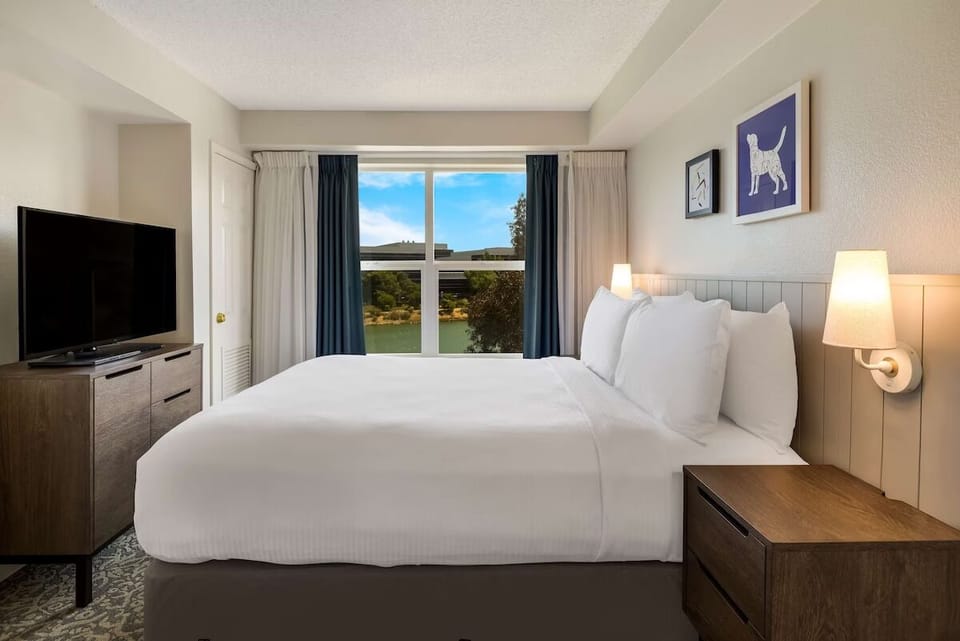 Sleep deeply in a serene room with calming natural light.
