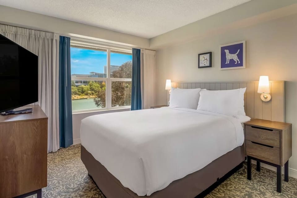 Unwind in crisp linens while sunlight fills the room.