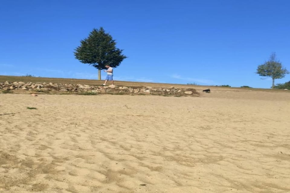 Region [summer] (>5 km)