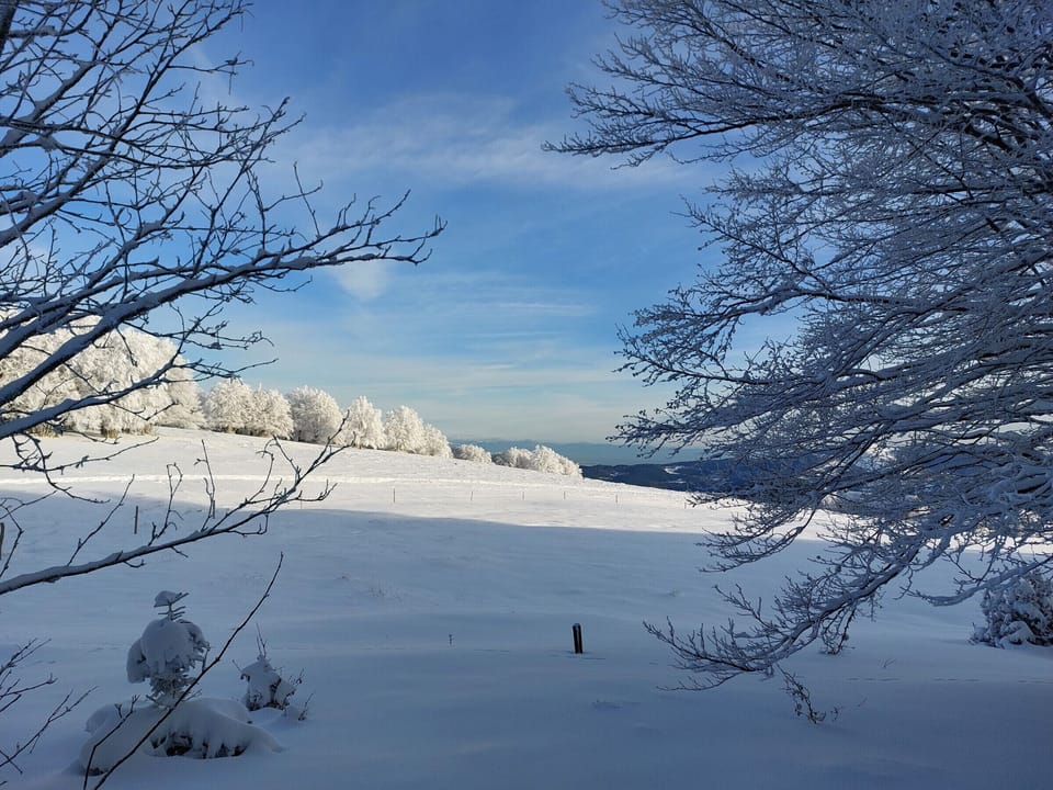 Snow and ski sports