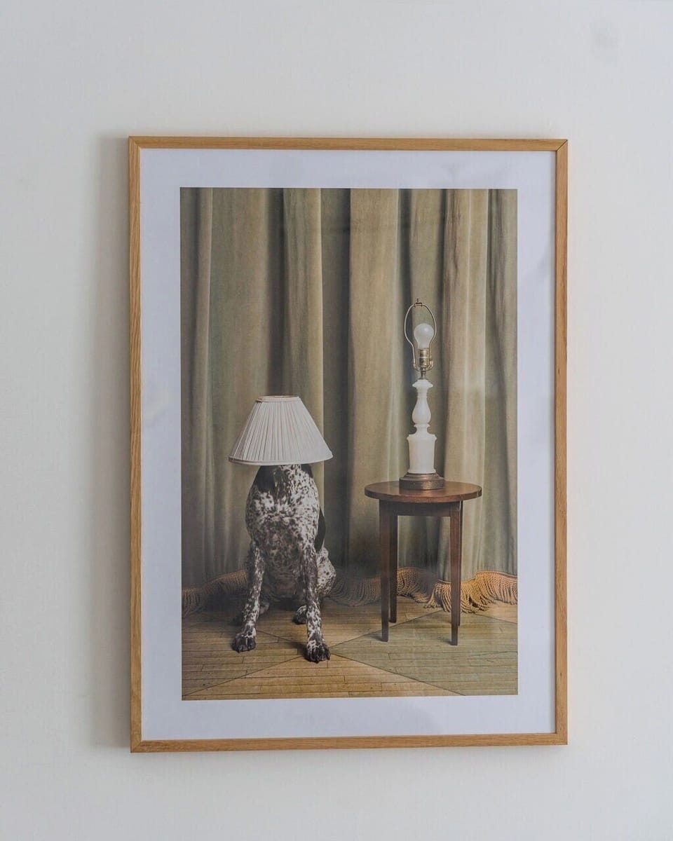 Aesthetic Wall decor