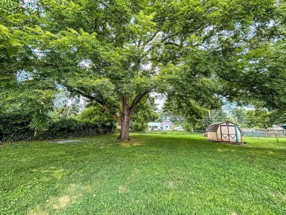 Fully Fenced backyard