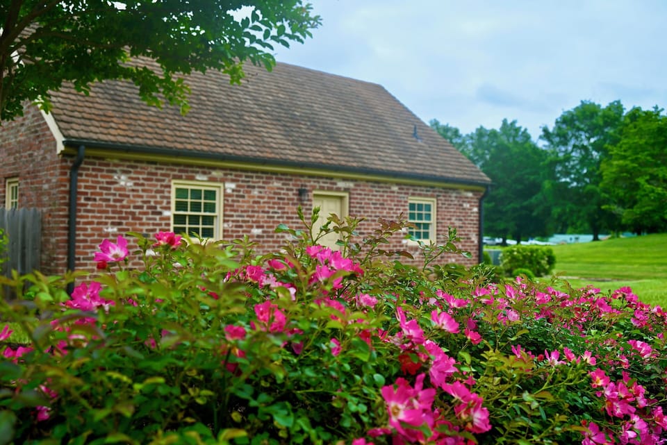 Cottage Side View