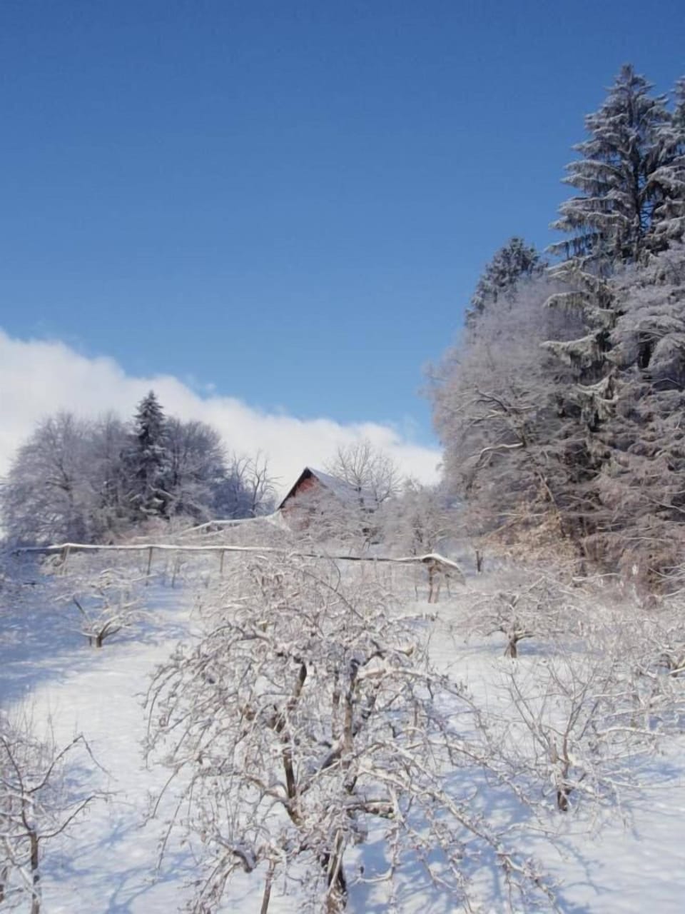 Snow and ski sports