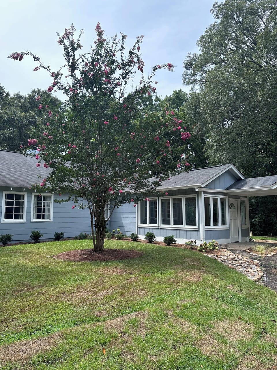 view from rear driveway / entry to home