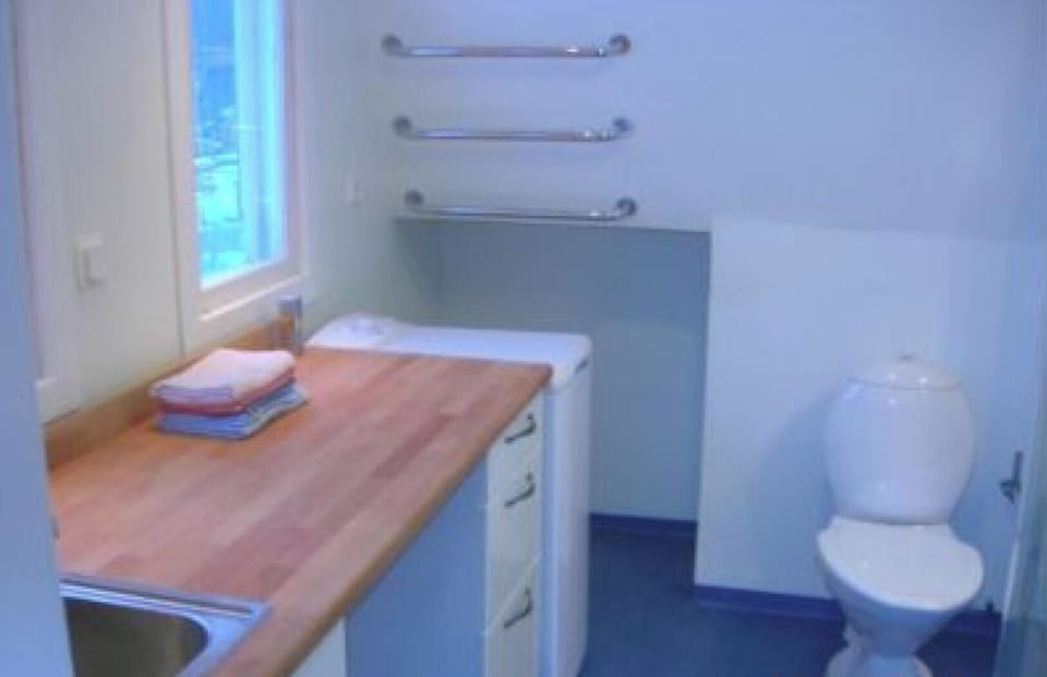 toilet