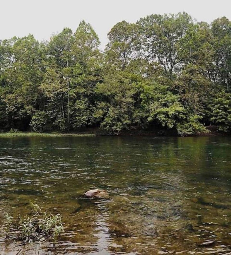 The Shenandoah river!