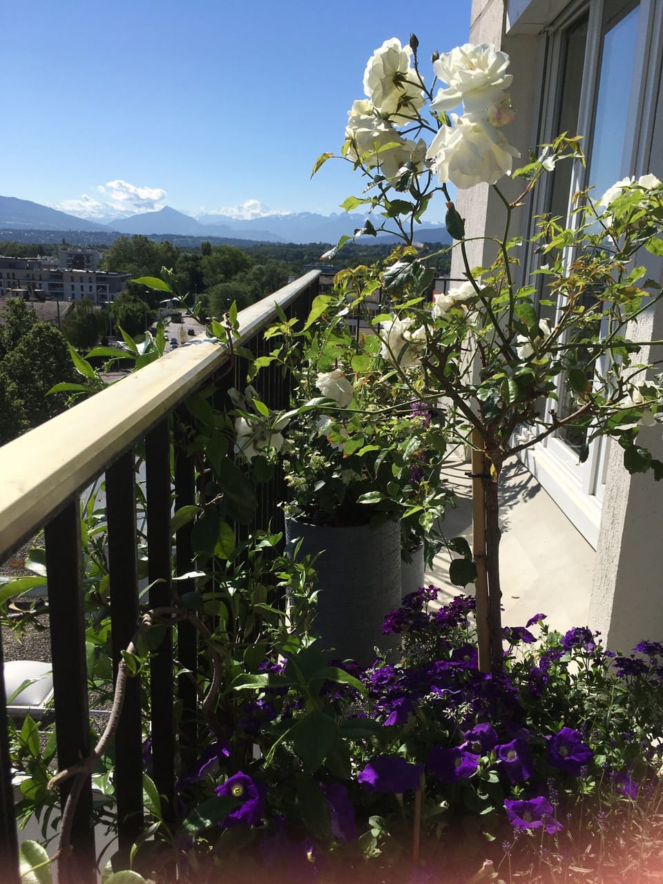 Landscaped balcony with open views to the mountains.