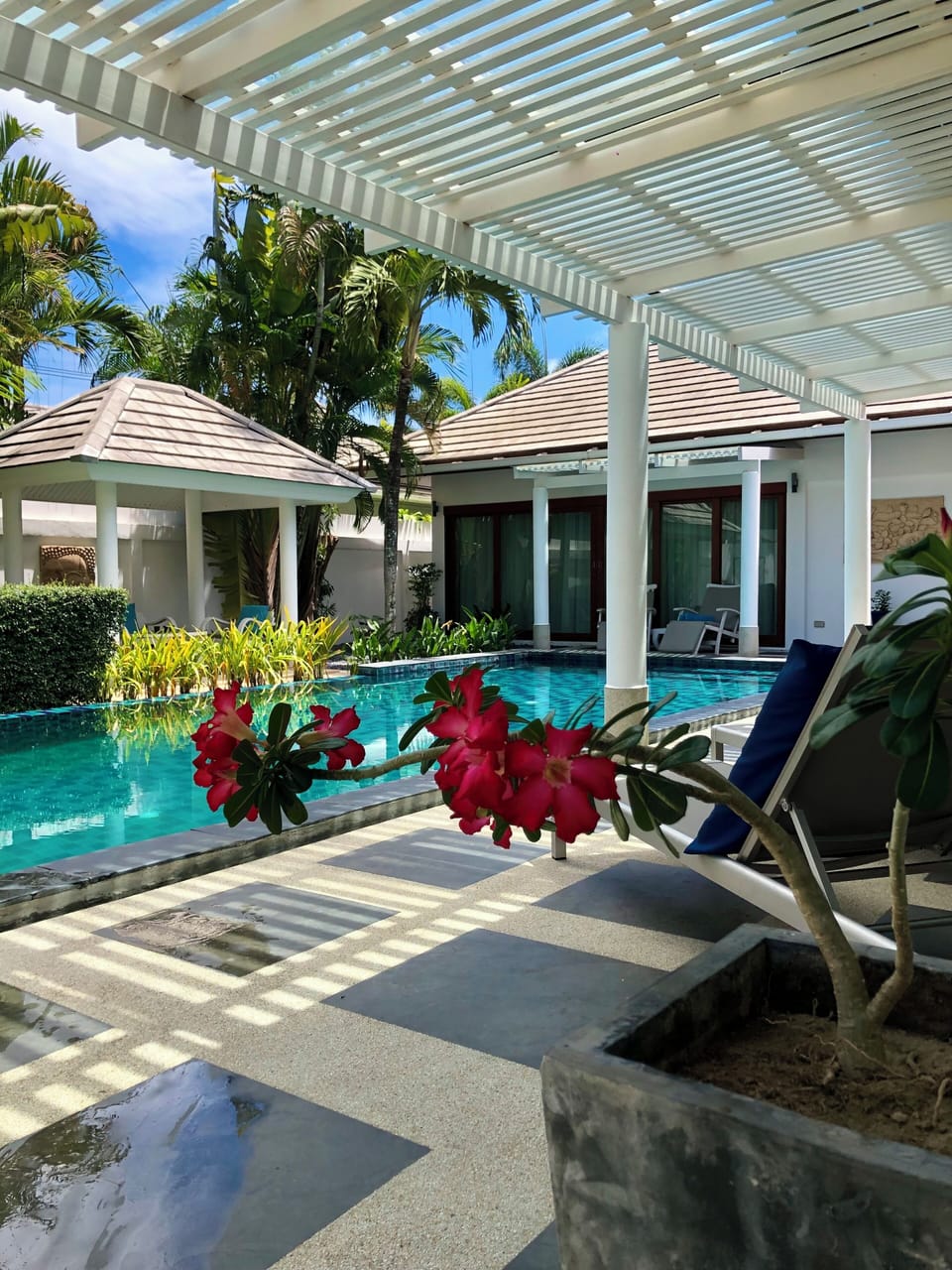 The 5 X 11 meter pool and surrounding terrace