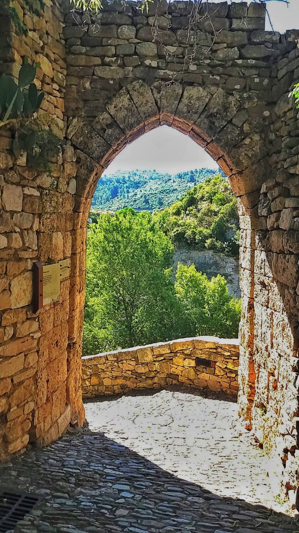 Local Medieval Village Minerve 