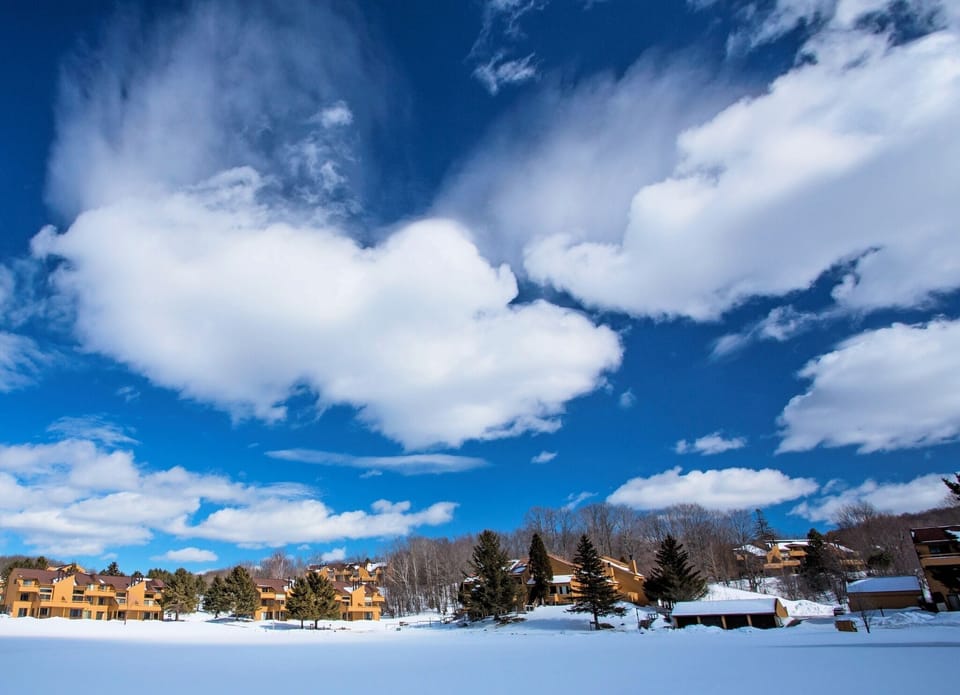 Winter Time at Trout Creek