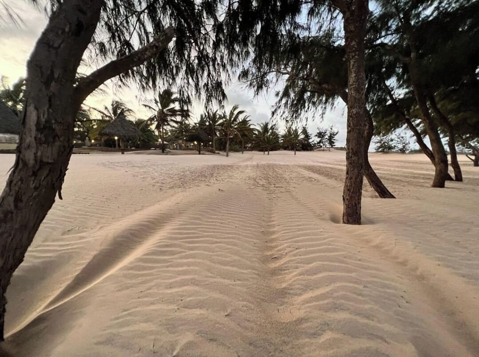 sandy beach ⛱️ 