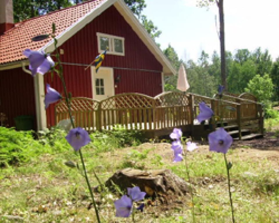 cottage