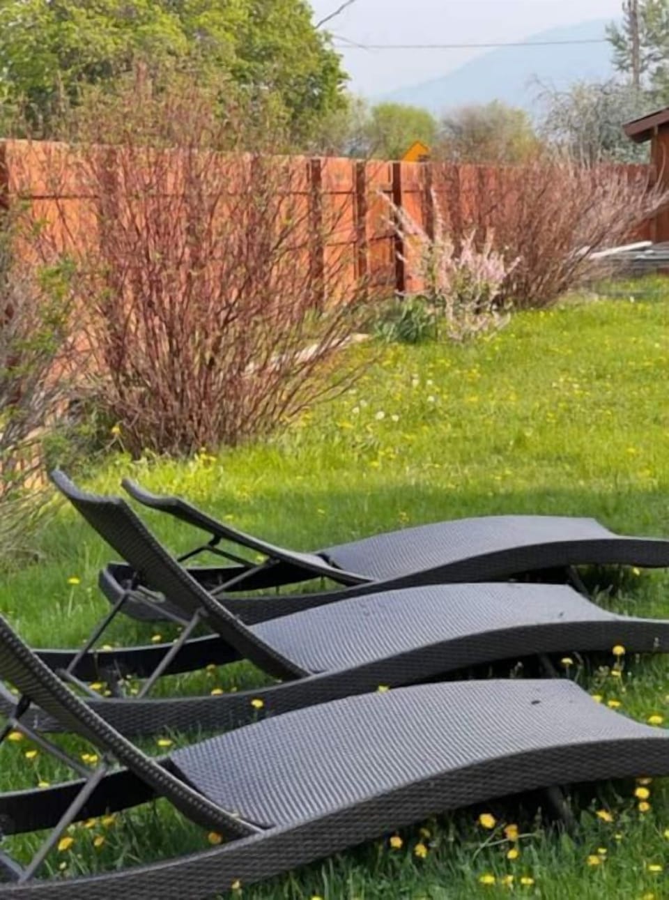 Relax in our beautiful garden