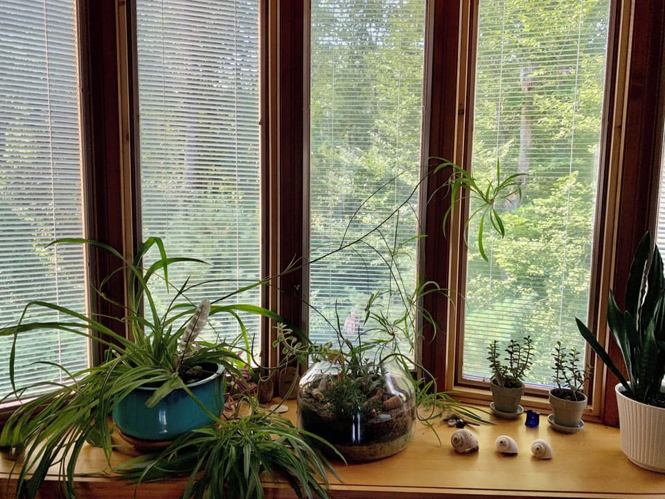View from back loft