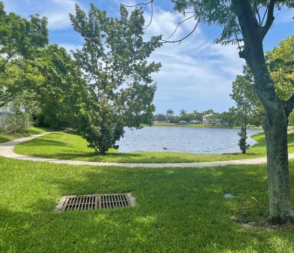 Backyard view
