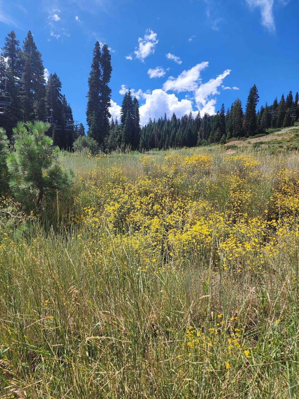 taken during a local hike