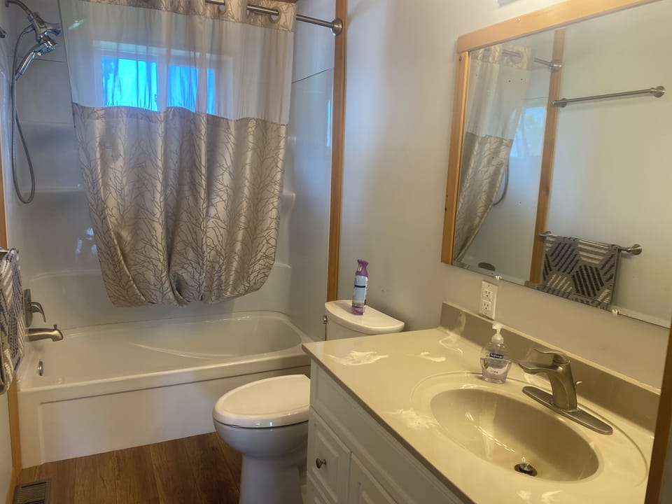 Comfort height toilet with slow close seat and double hand shower/rainfall