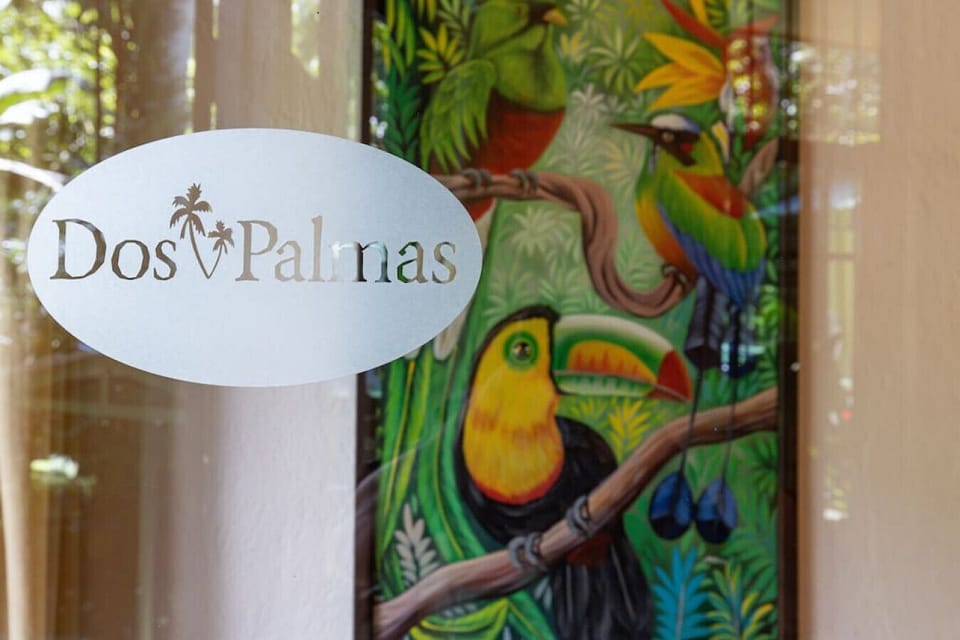 Jungle Creek Dos Palmas