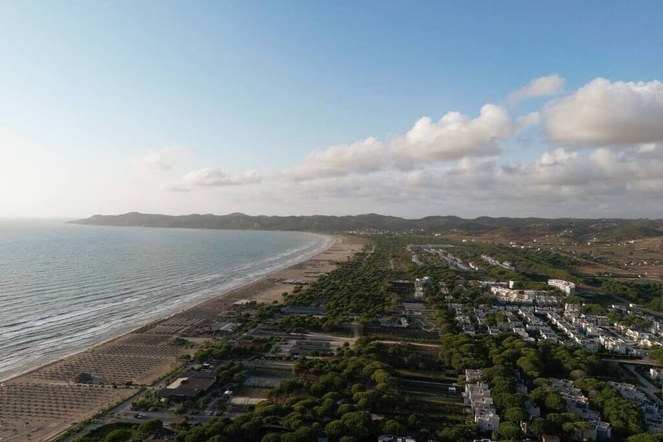 aerial view of the beach (1)