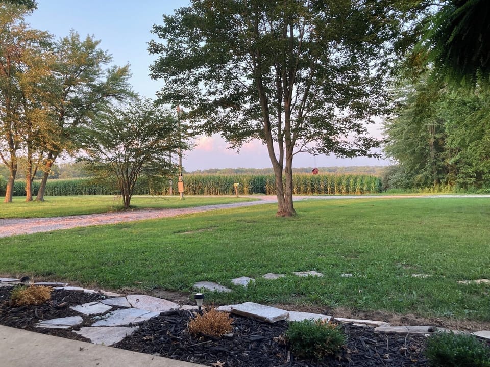 Looking NE from the front porch