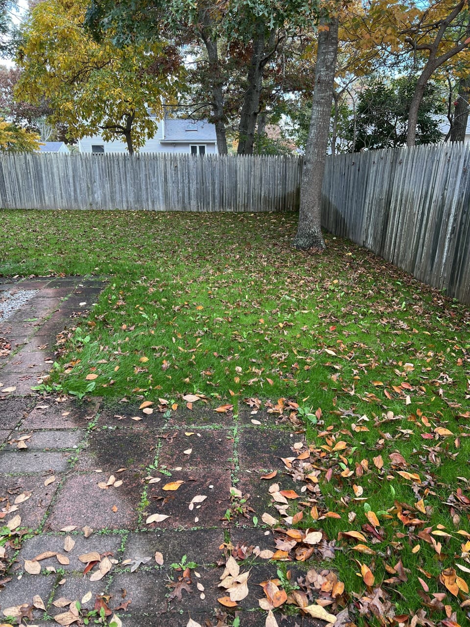 Large fenced in yard
