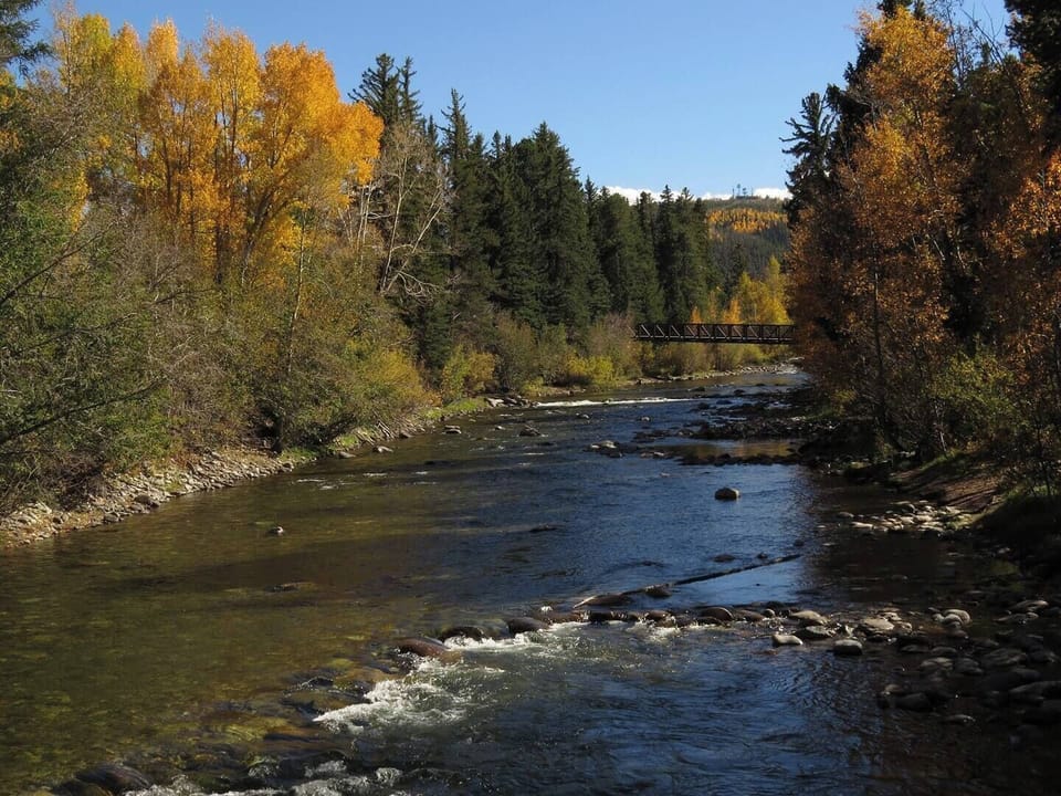 Try your fishing skills on the many nearby rivers, some are a short walk away.