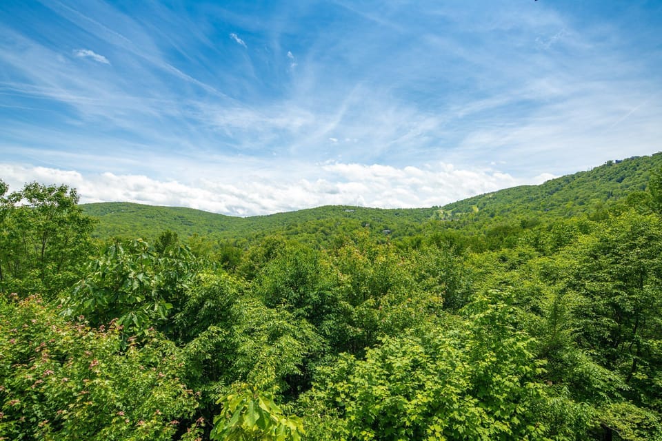 Panoramic view of lush green mountains.