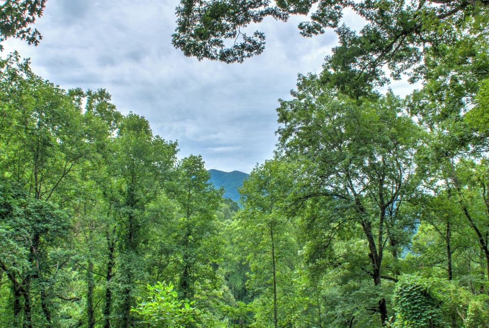 The Beautiful Blue Ridge Mountains!