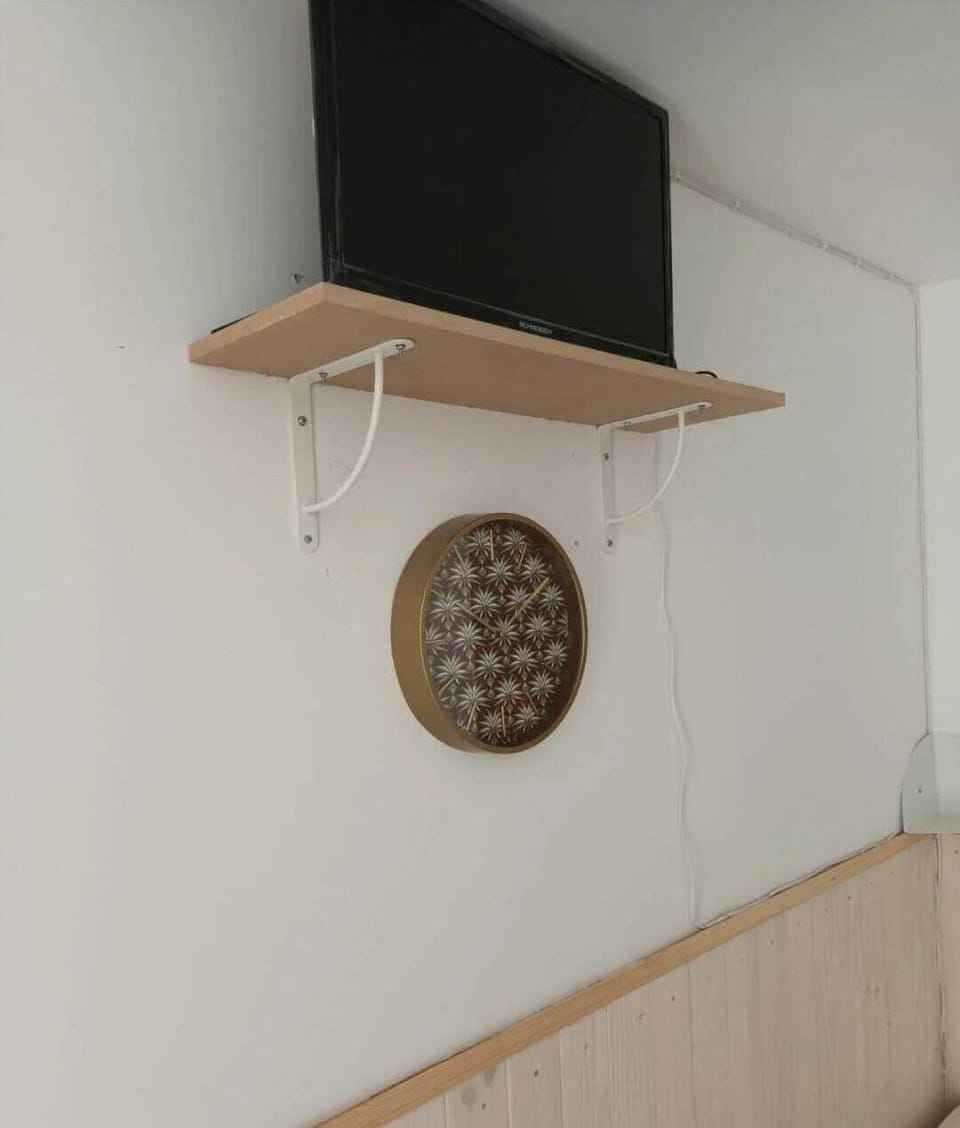 Television