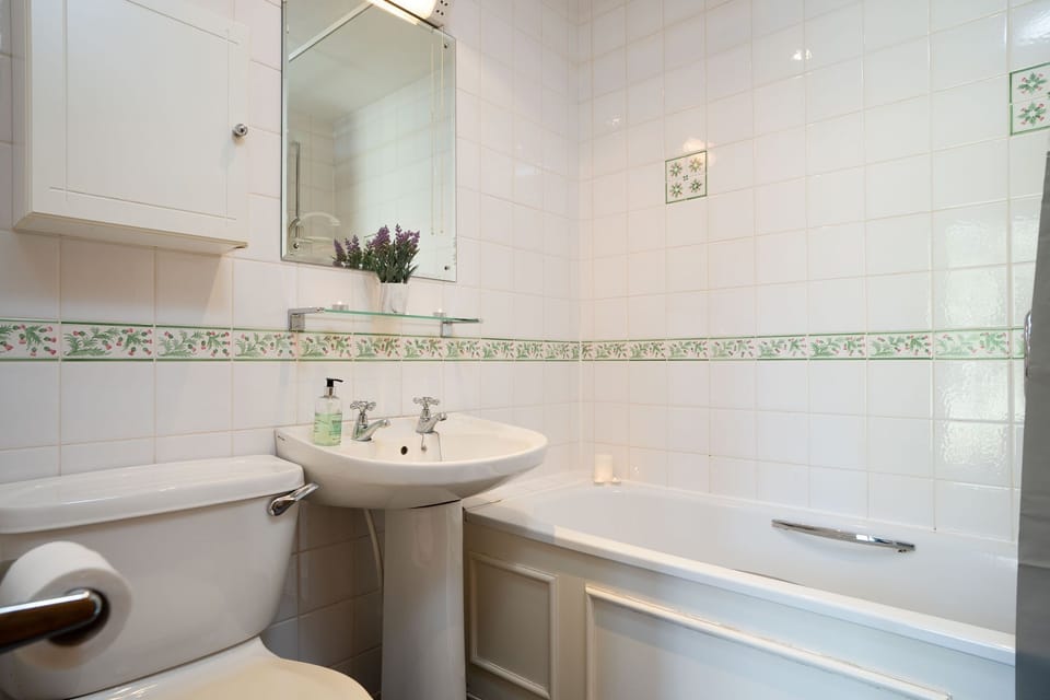 Langrick bathroom